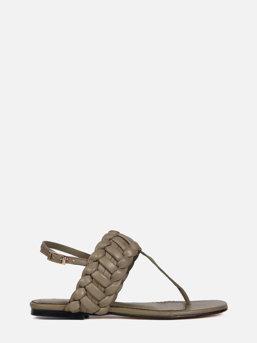 RASTEIRA CARLY OLIVE