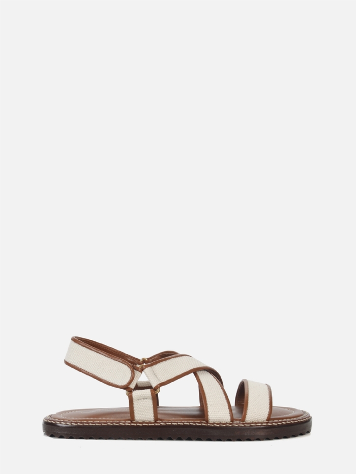 RASTEIRA AMELIA APPLE