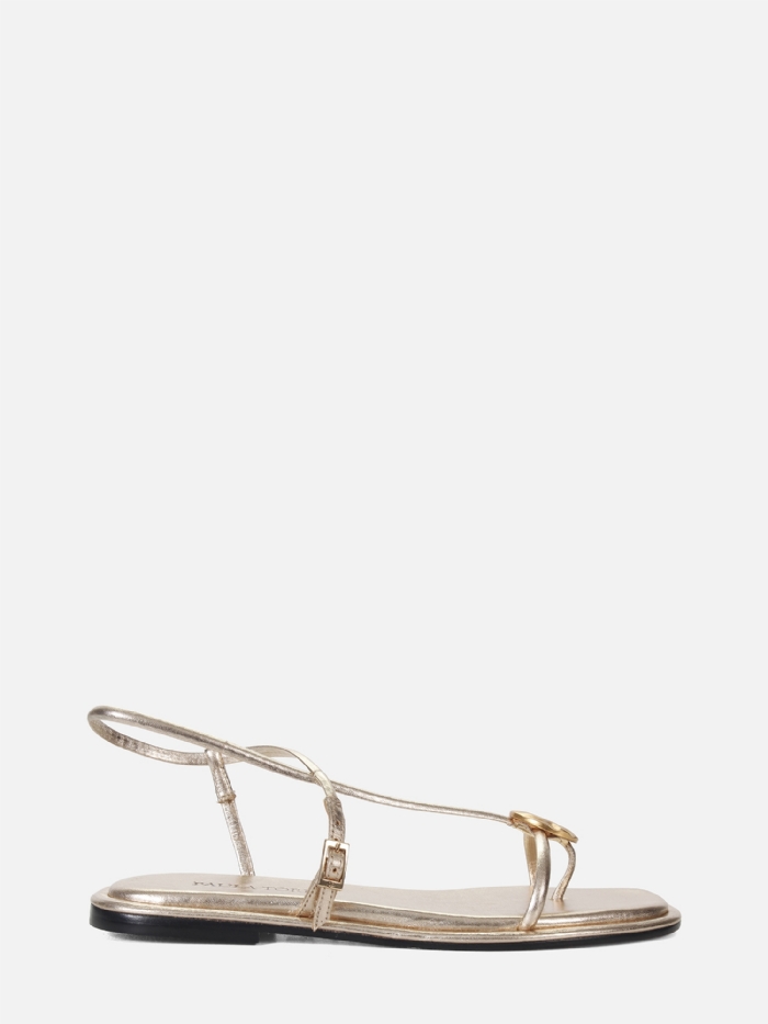 RASTEIRA CAROL SATURNO