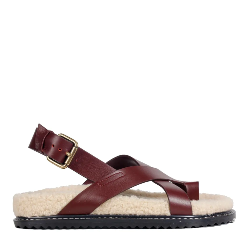 RASTEIRA GENOVA VINHO