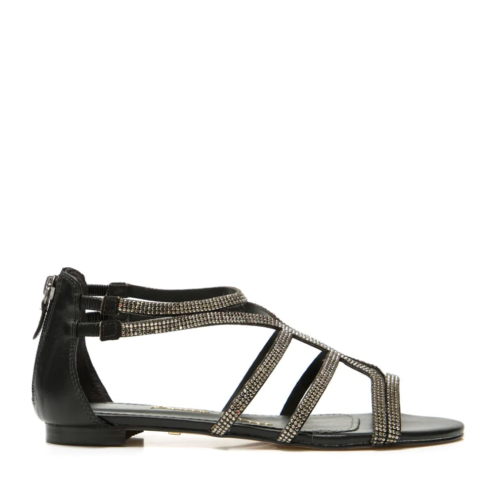 RASTEIRA BARBARA PRETO