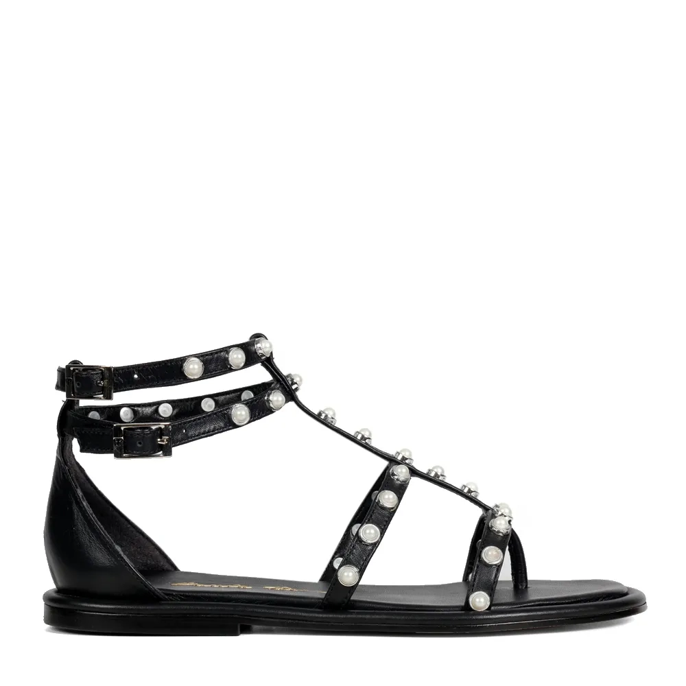 RASTEIRA ALEXA PRETO