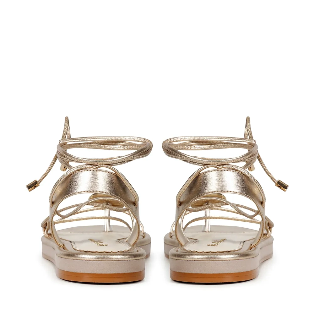 RASTEIRA LARA SATURNO