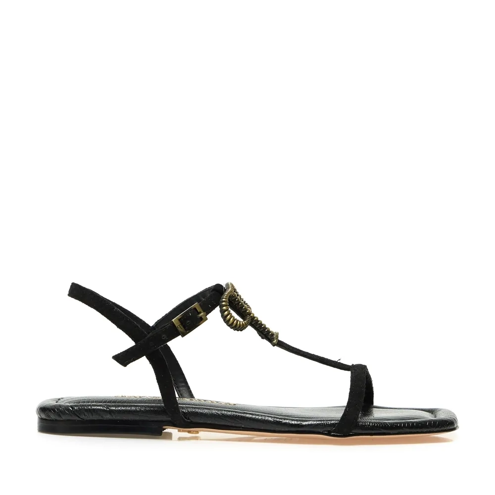 RASTEIRA TORRES PRETO