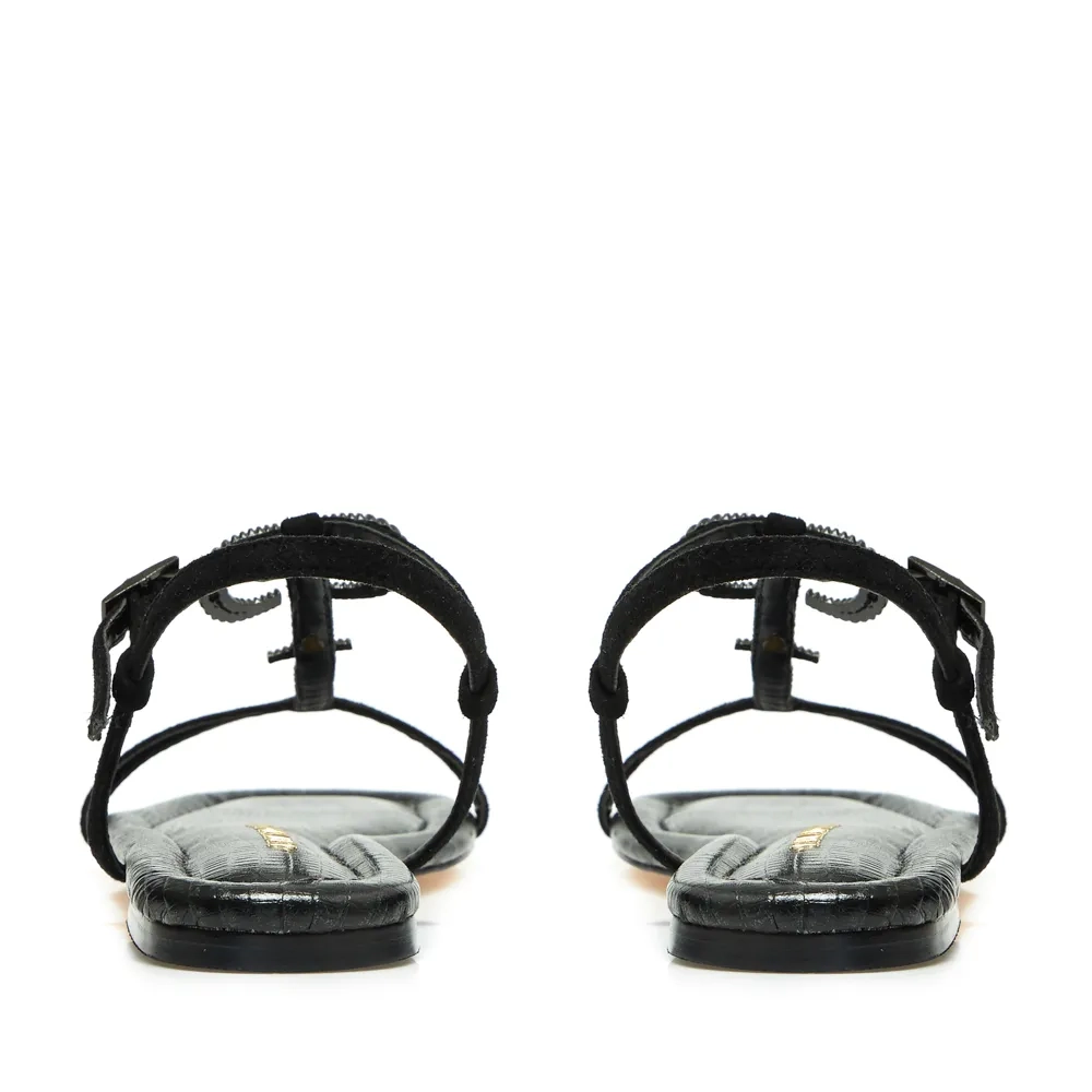 RASTEIRA TORRES PRETO