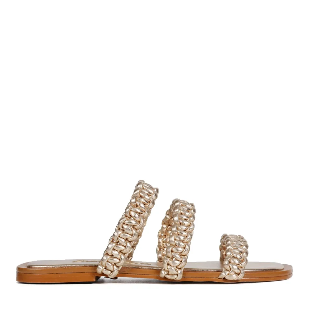 RASTEIRA PAOLA SATURNO