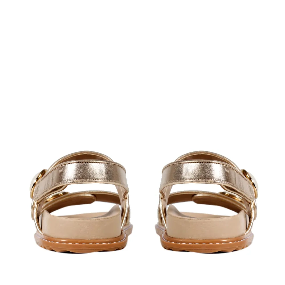 RASTEIRA MAIA DOURADA