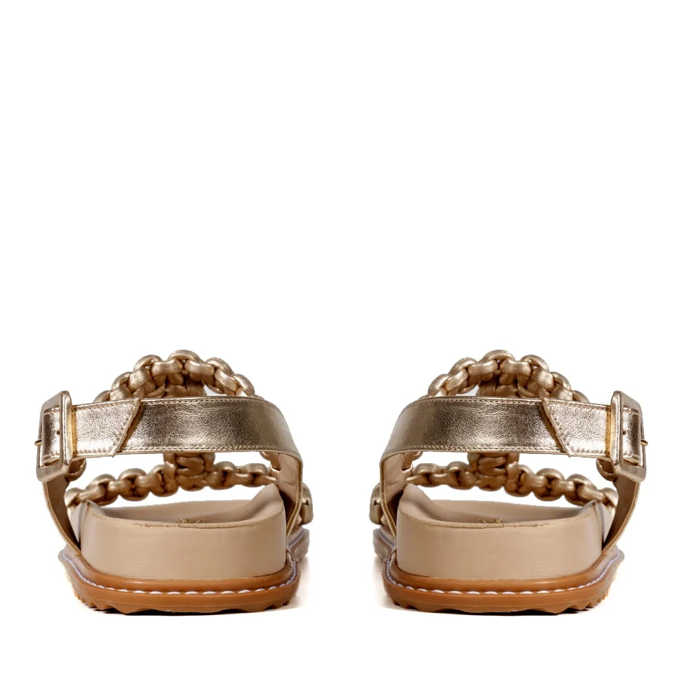 RASTEIRA LIRA DOURADA