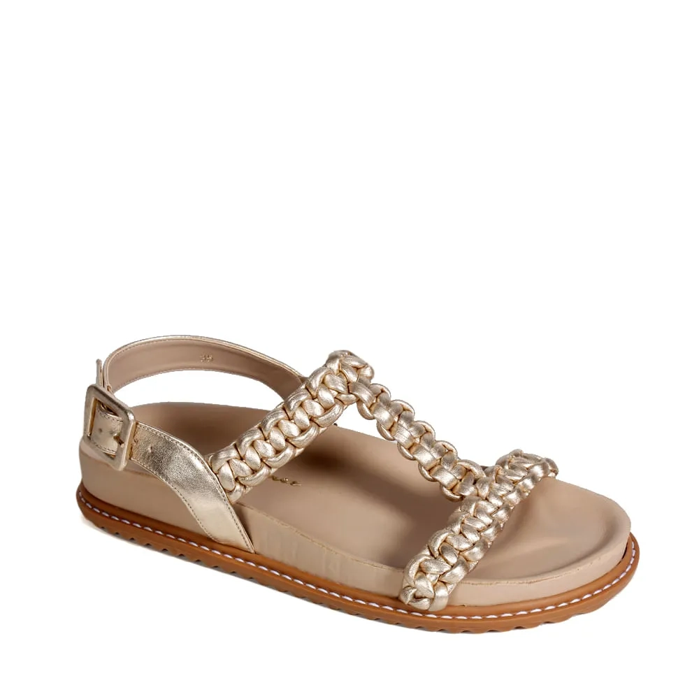 RASTEIRA LIRA DOURADA