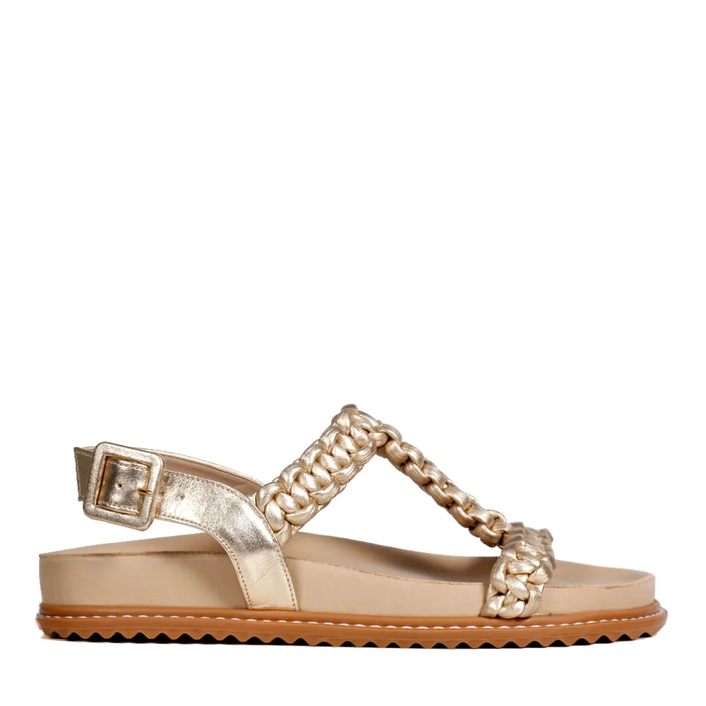 RASTEIRA LIRA DOURADA