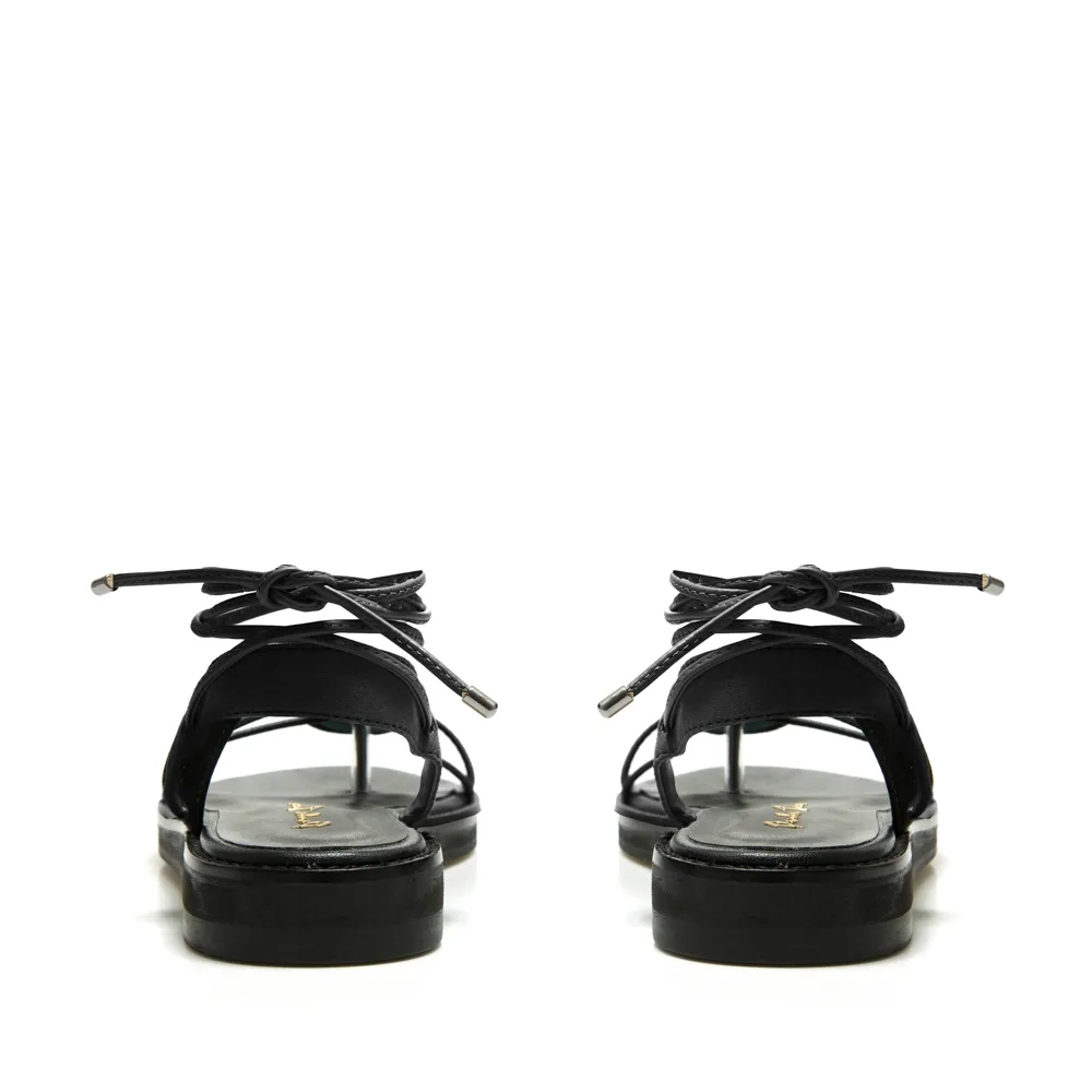 RASTEIRA CATARINA PRETO