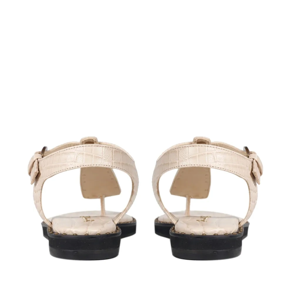 RASTEIRA AUSTIN AVEIA