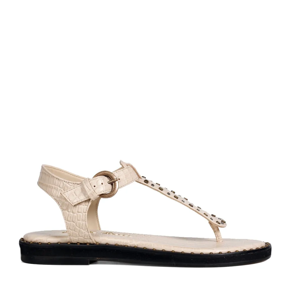 RASTEIRA AUSTIN AVEIA