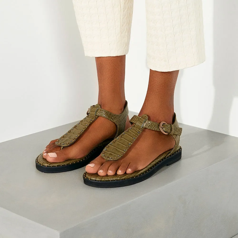 RASTEIRA AUSTIN MUSGO