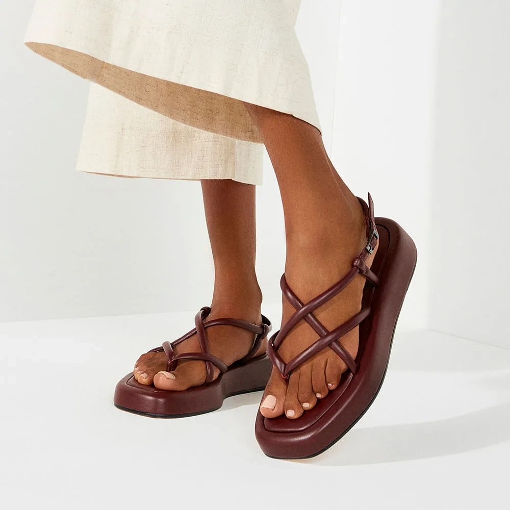 RASTEIRA VIENA VINHO