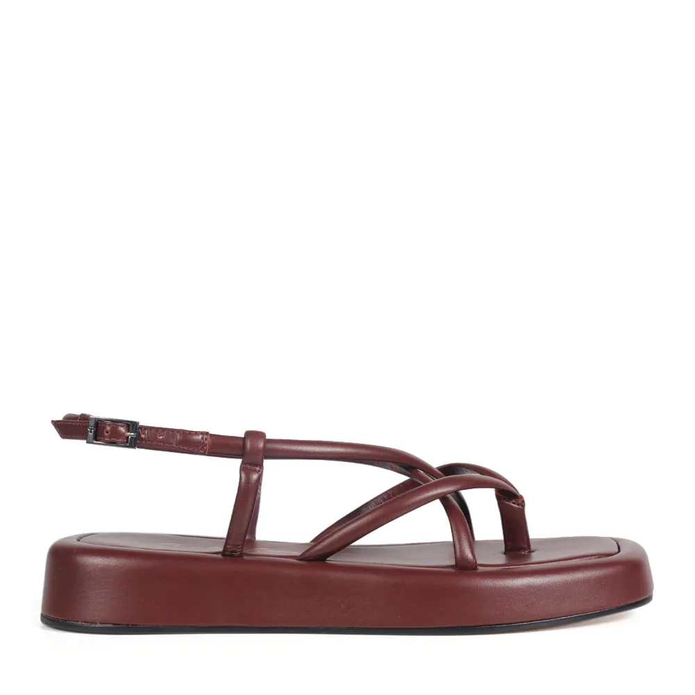 RASTEIRA VIENA VINHO