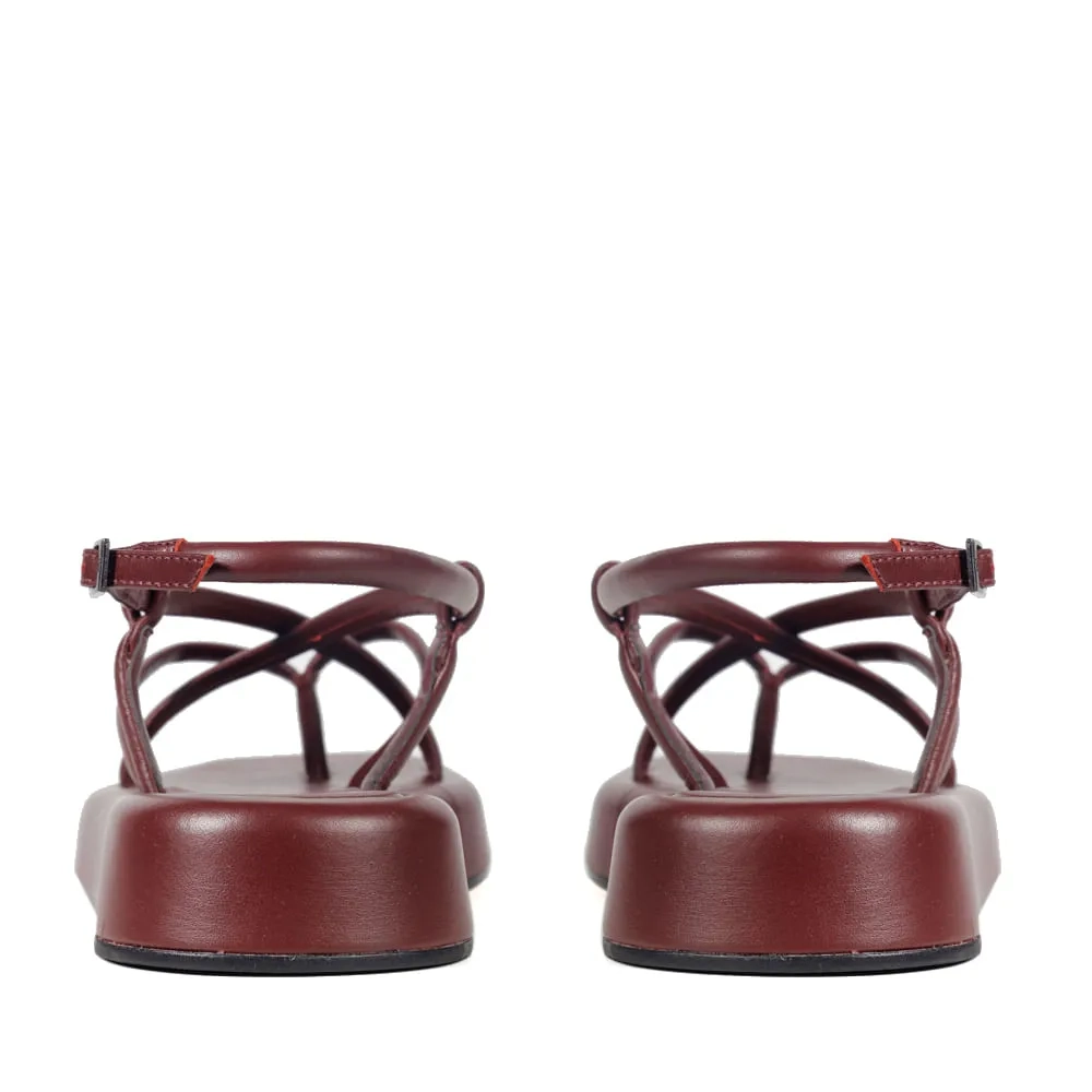 RASTEIRA VIENA VINHO