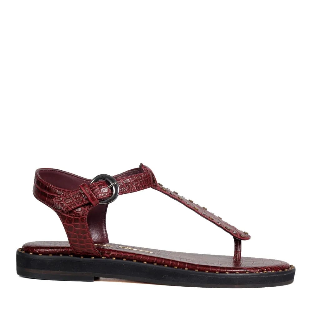 RASTEIRA AUSTIN VINHO