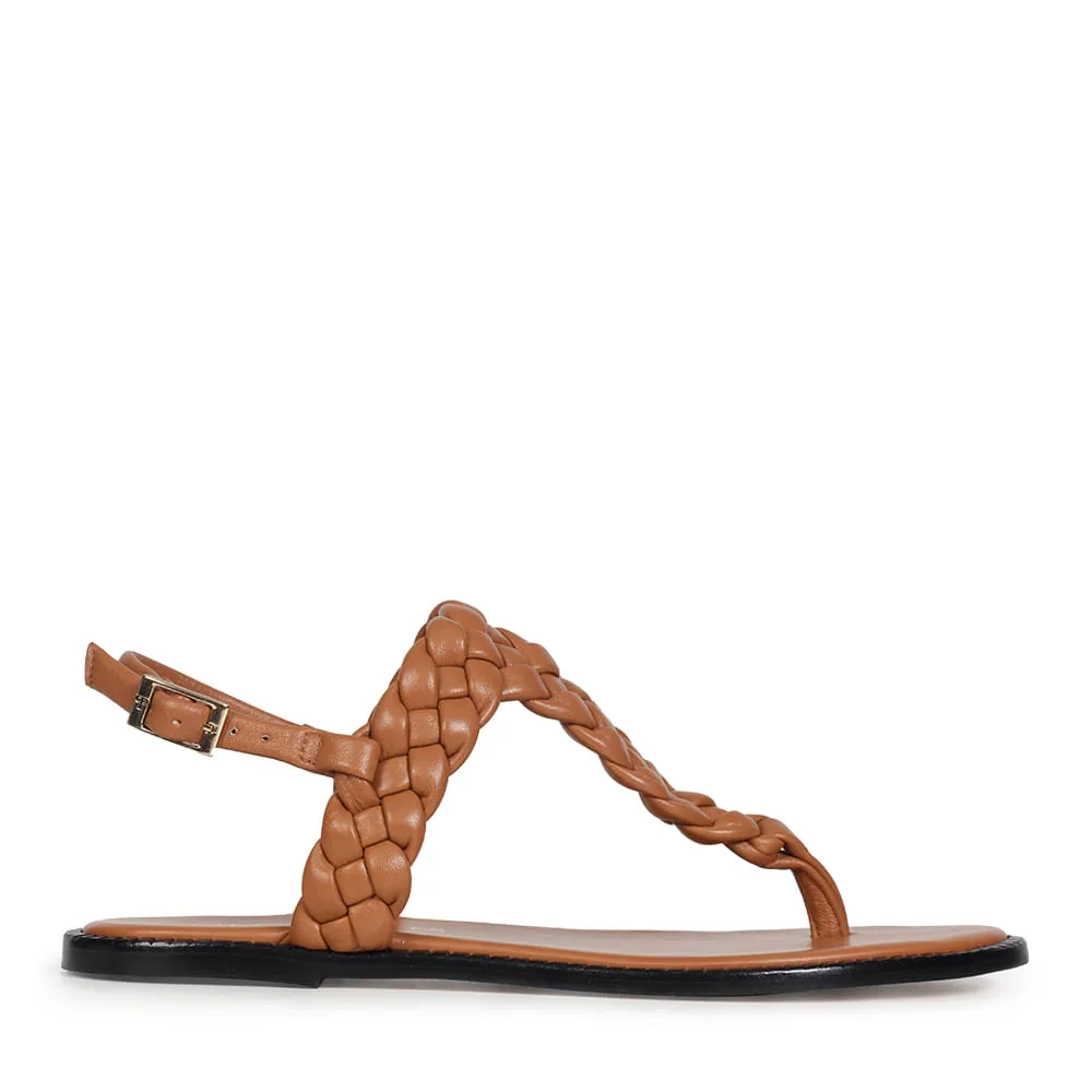 RASTEIRA AISHA CAMEL