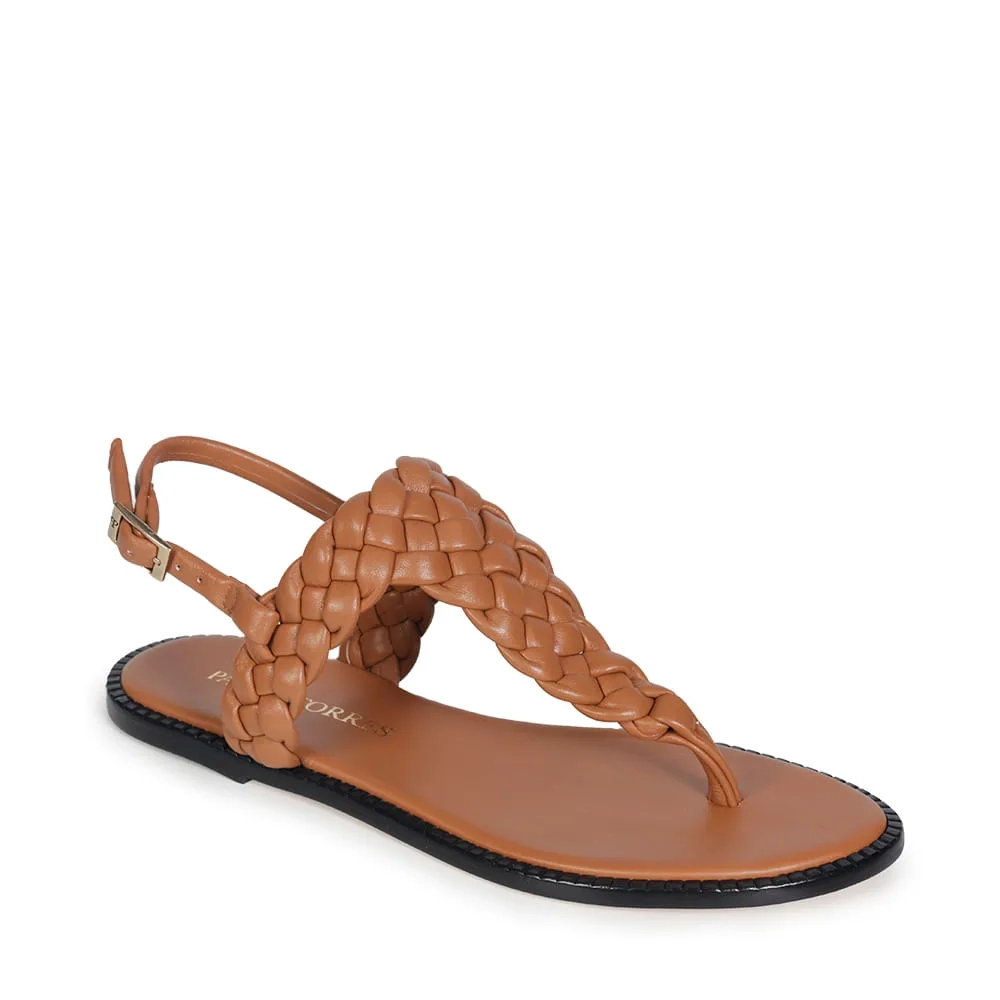 RASTEIRA AISHA CAMEL