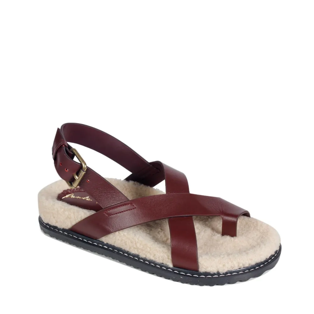 RASTEIRA GENOVA VINHO