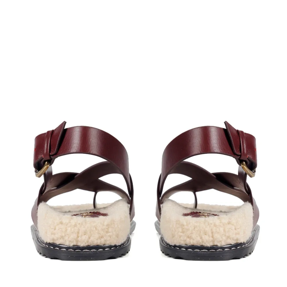 RASTEIRA GENOVA VINHO