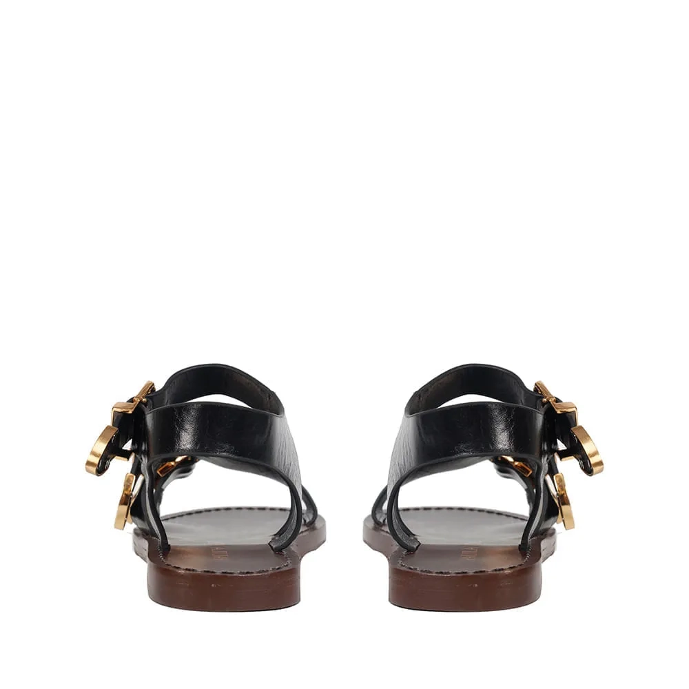 RASTEIRA BETINA PRETO