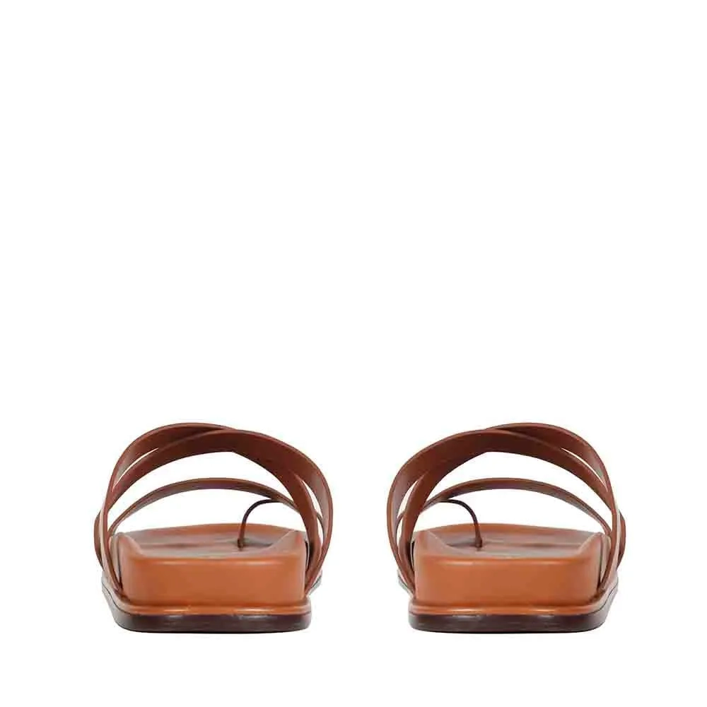 RASTEIRA LIVIA APPLE