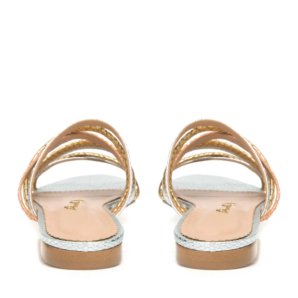 RASTEIRA LADY COLORIDO