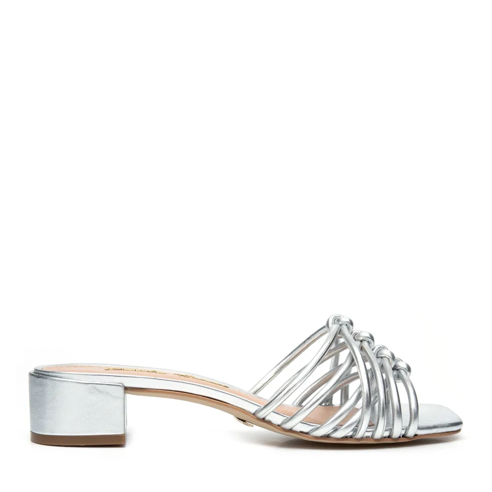 RASTEIRA ARIEL PRATA