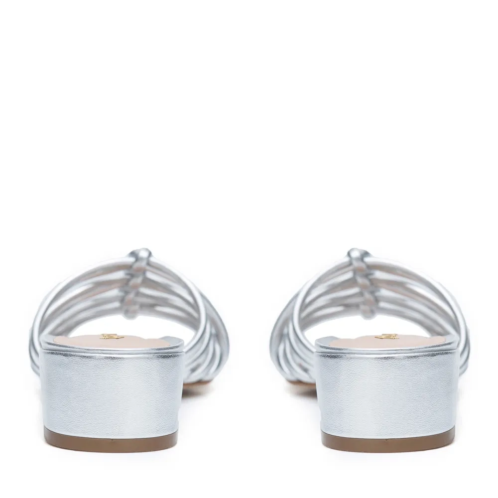 RASTEIRA ARIEL PRATA