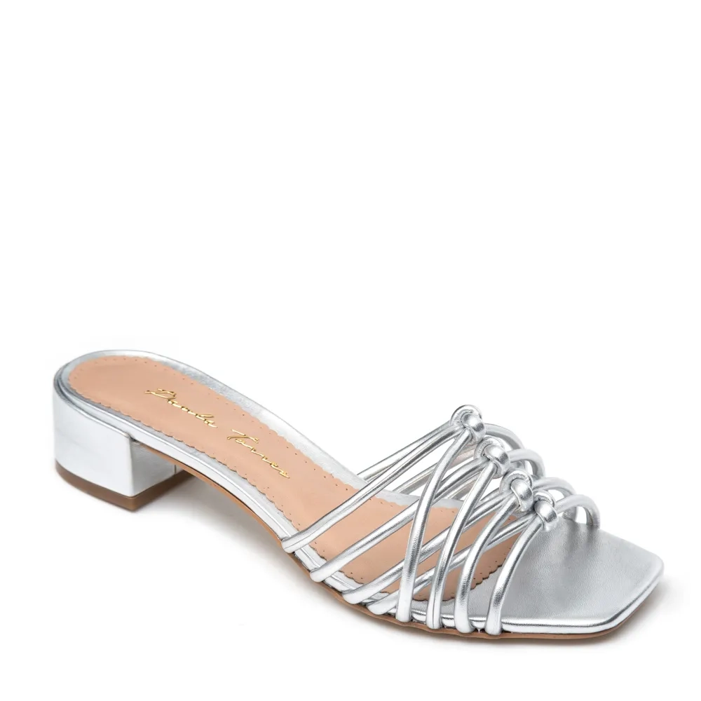 RASTEIRA ARIEL PRATA