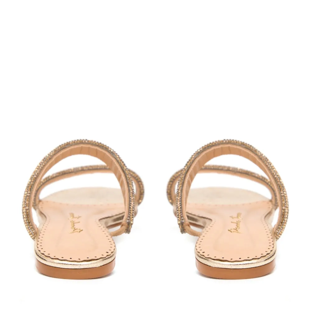 RASTEIRA ARYA DOURADO