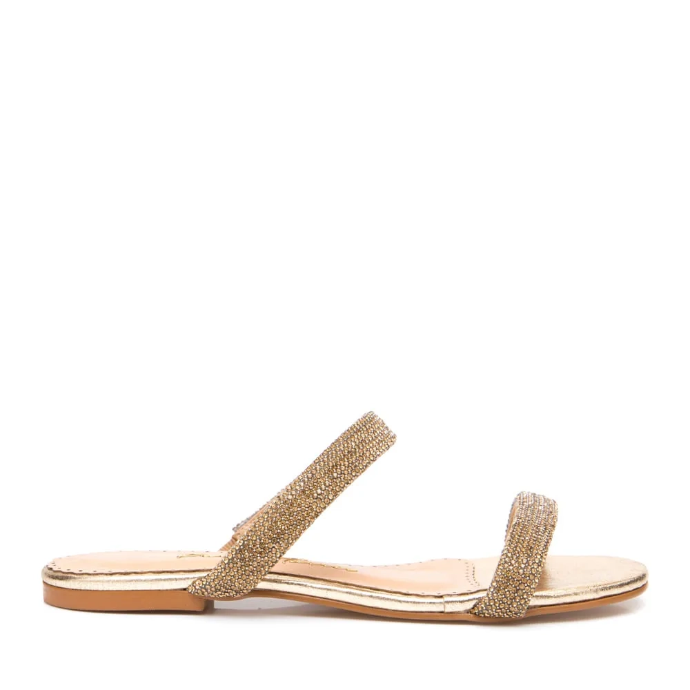 RASTEIRA ARYA DOURADO