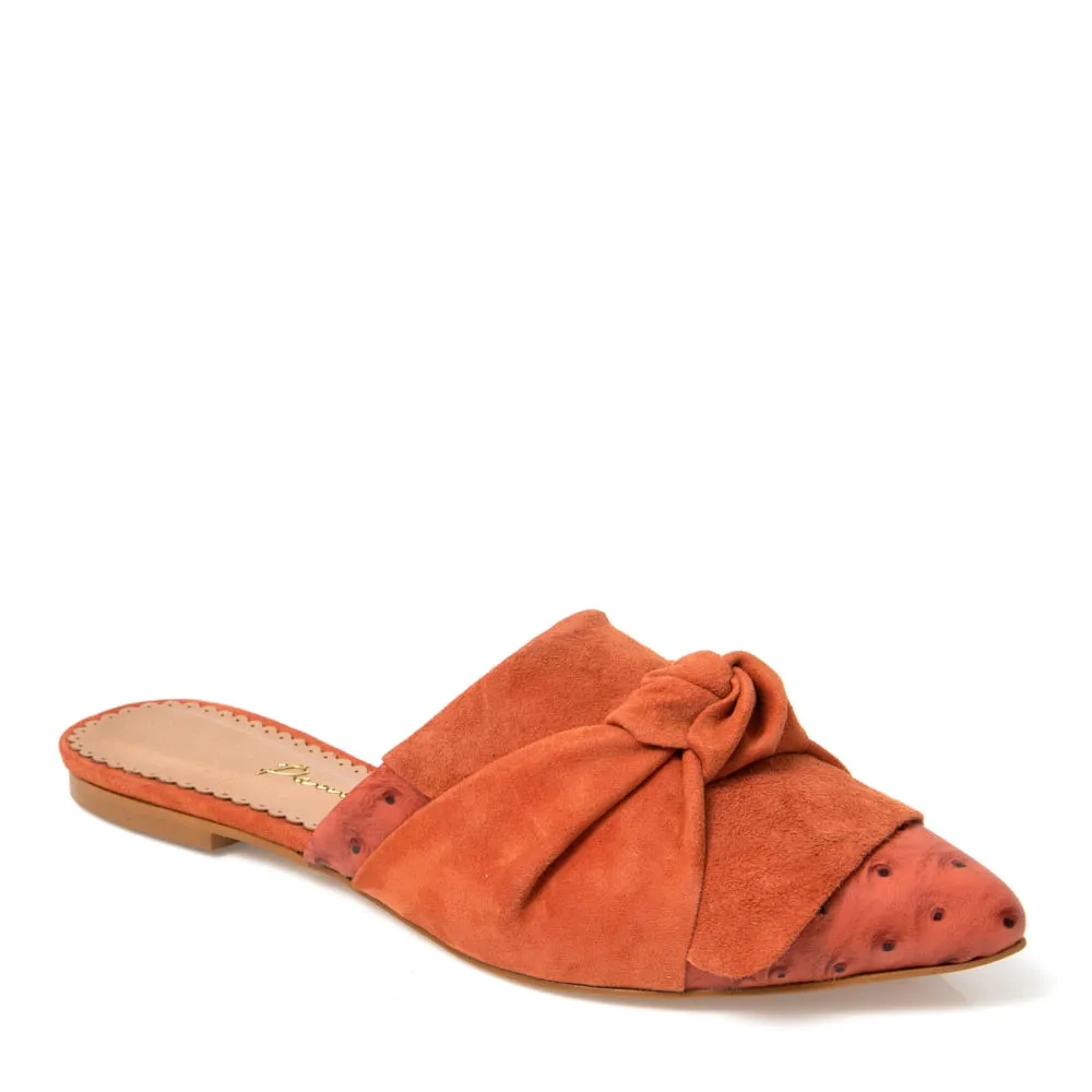 MULE ZOE CORAL