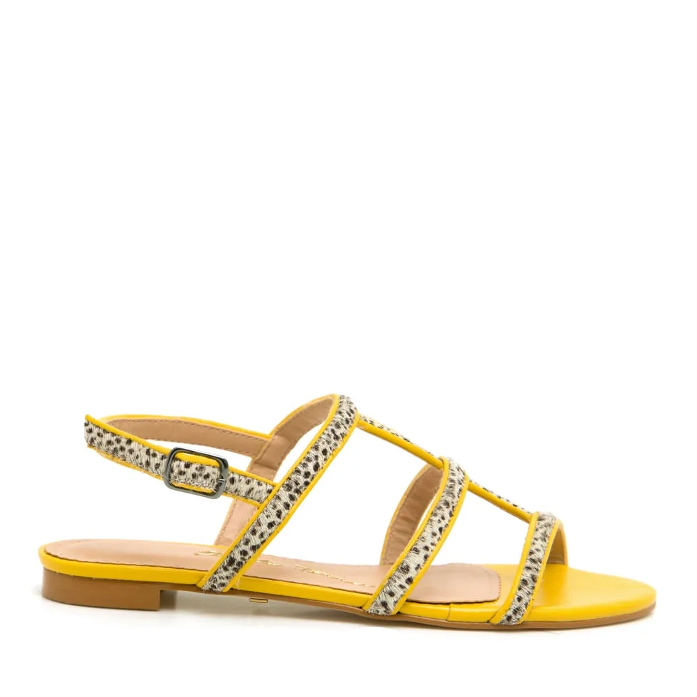 RASTEIRA GISA AMARELO