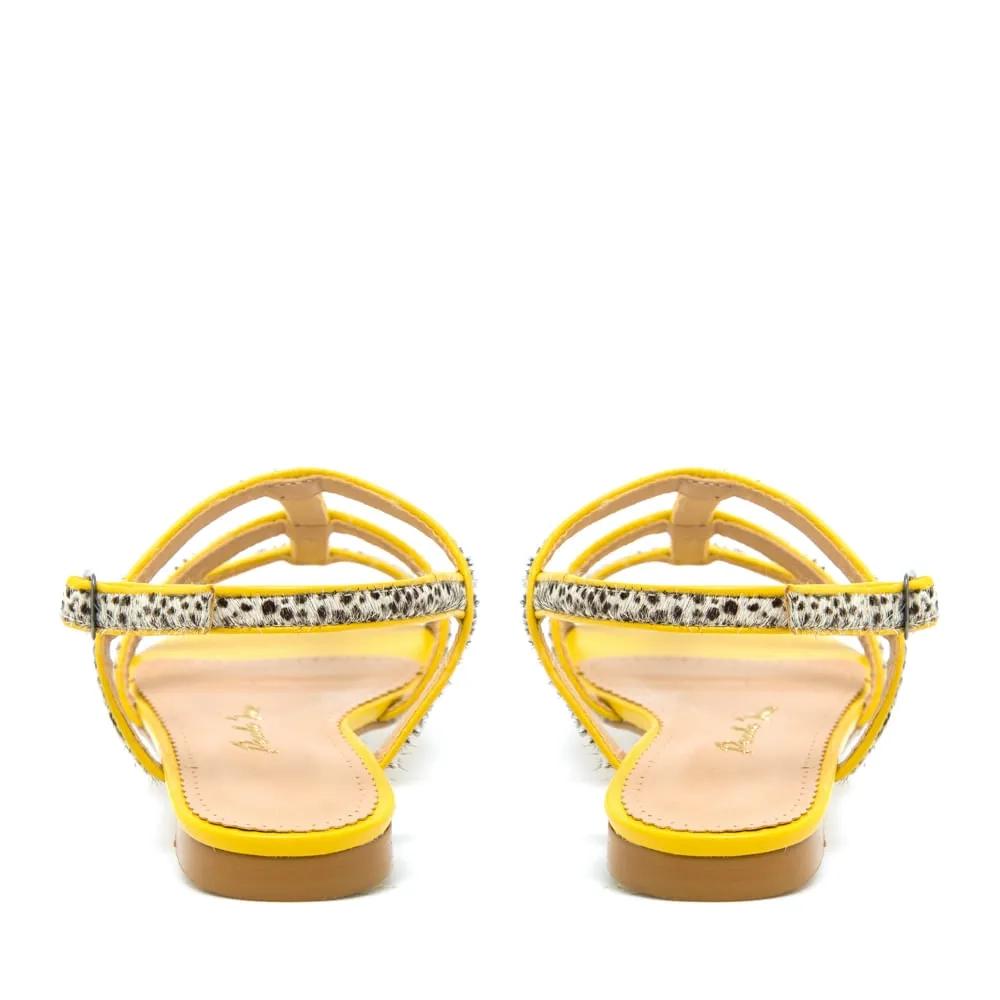 RASTEIRA GISA AMARELO