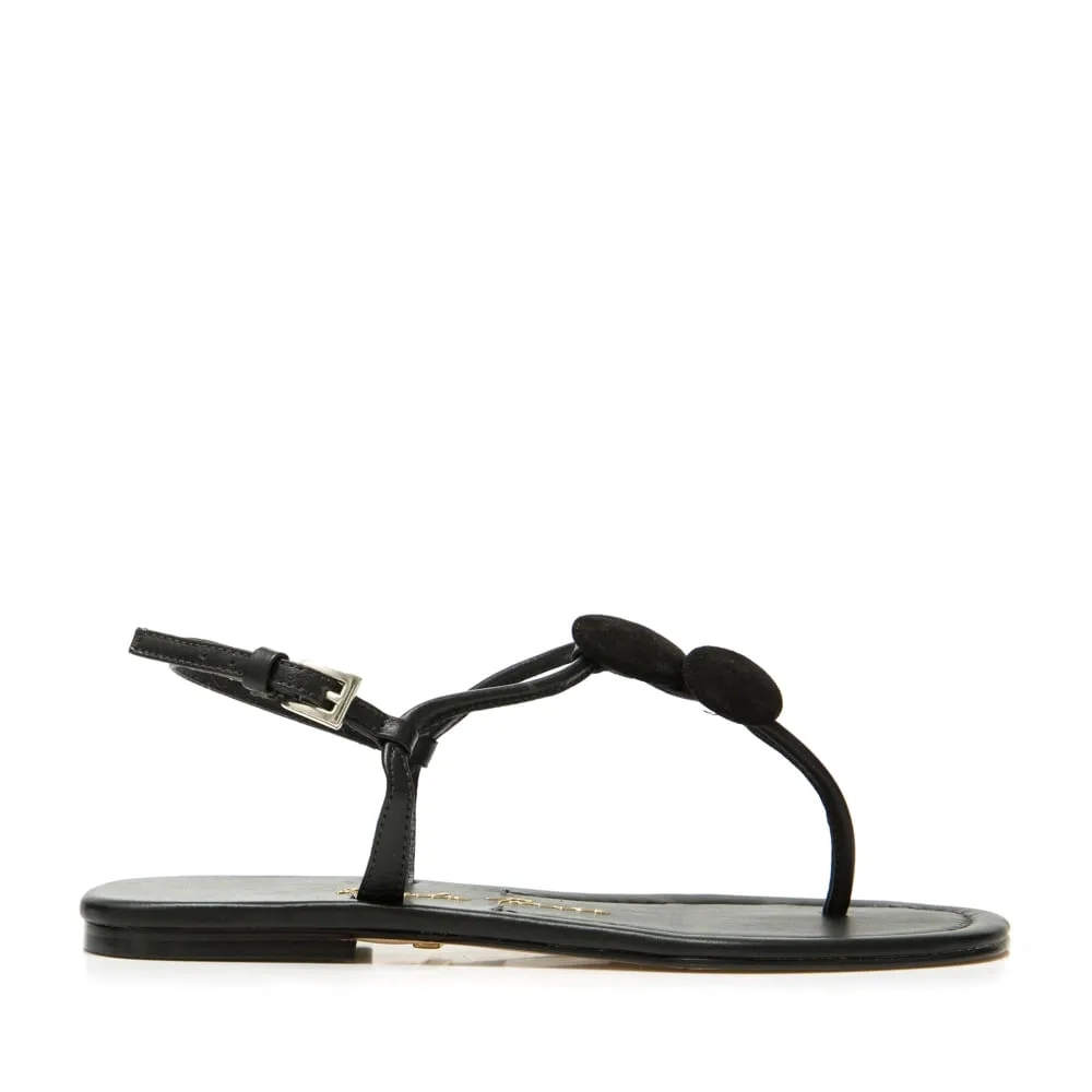 RASTEIRA JULIANA PRETO