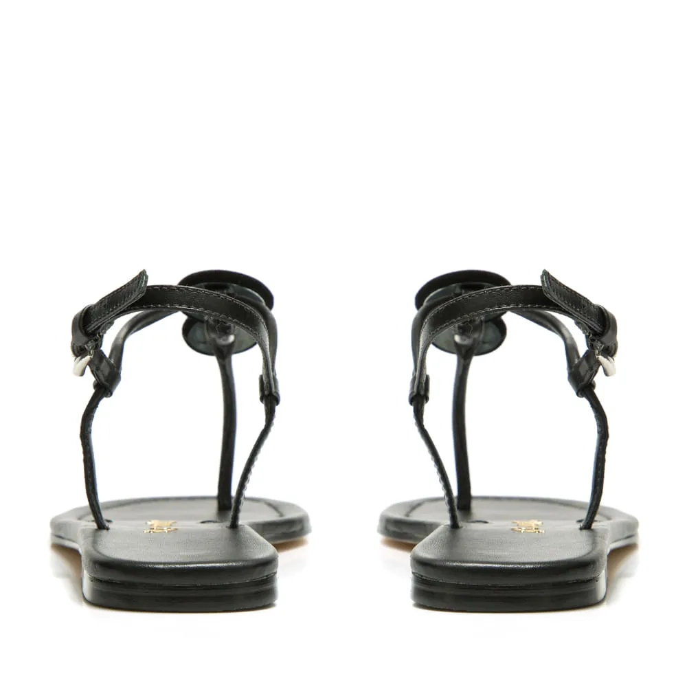 RASTEIRA JULIANA PRETO