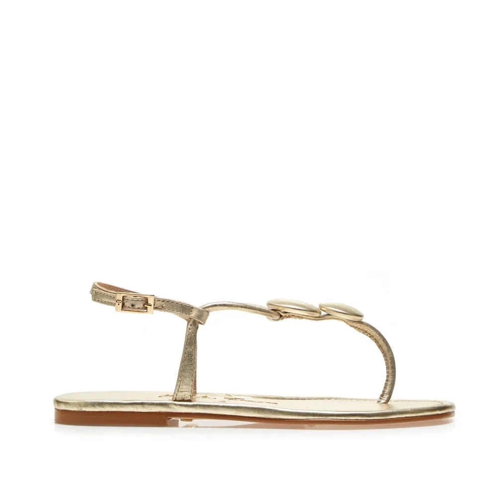 RASTEIRA JULIANA DOURADO