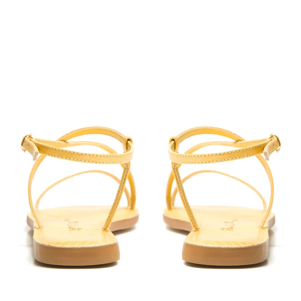 RASTEIRA LOUISE BANANA