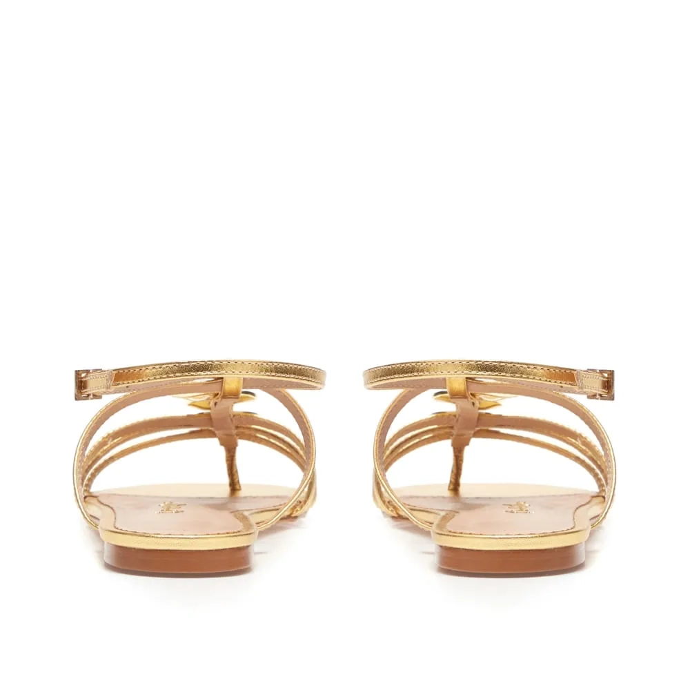 RASTEIRA OSTRA DOURADA