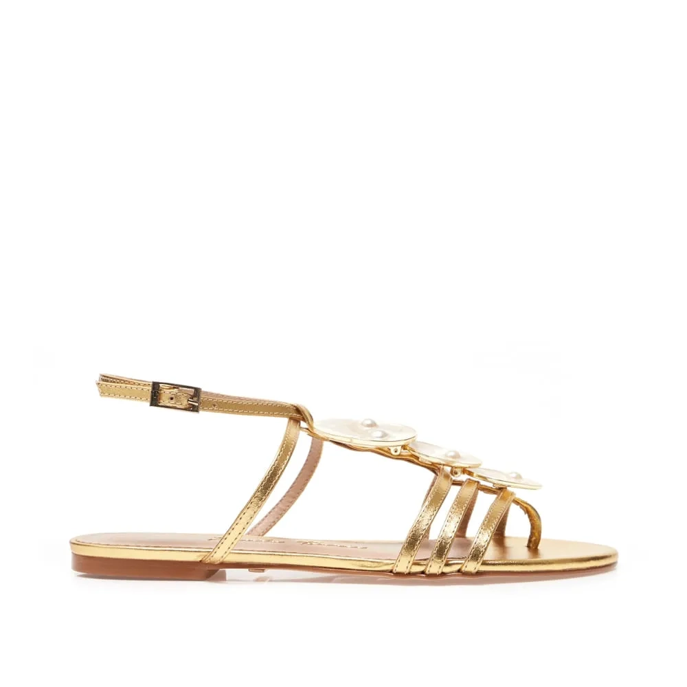 RASTEIRA OSTRA DOURADA