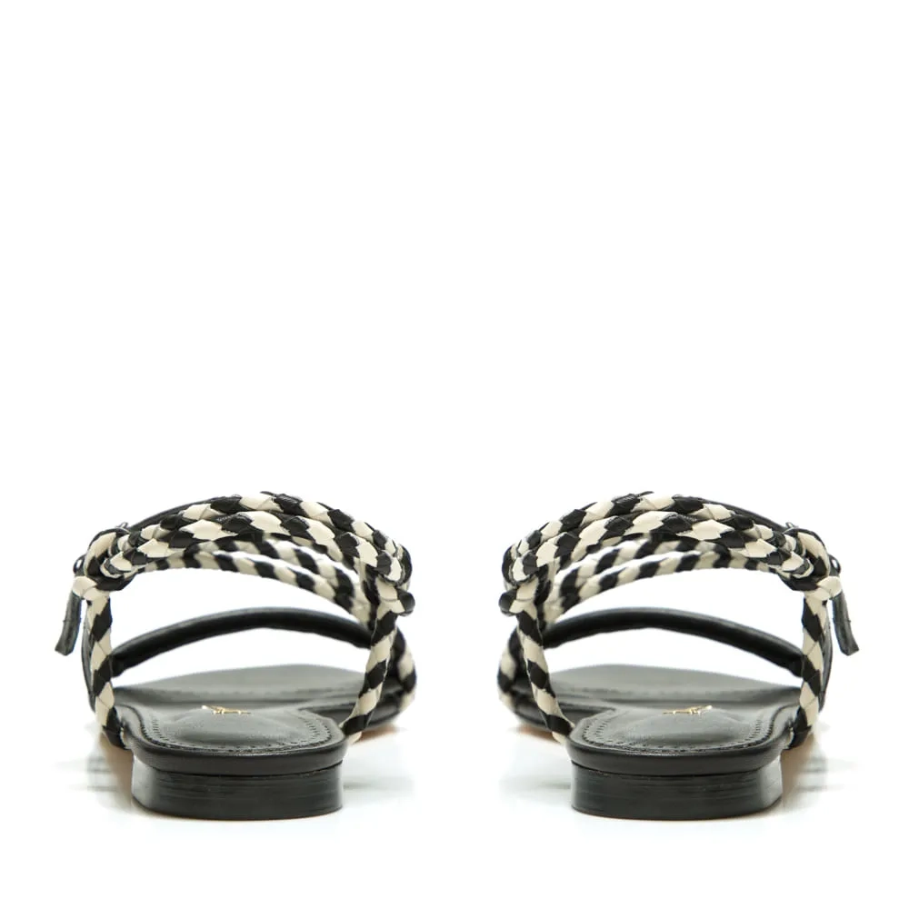 RASTEIRA CAIRO PRETO