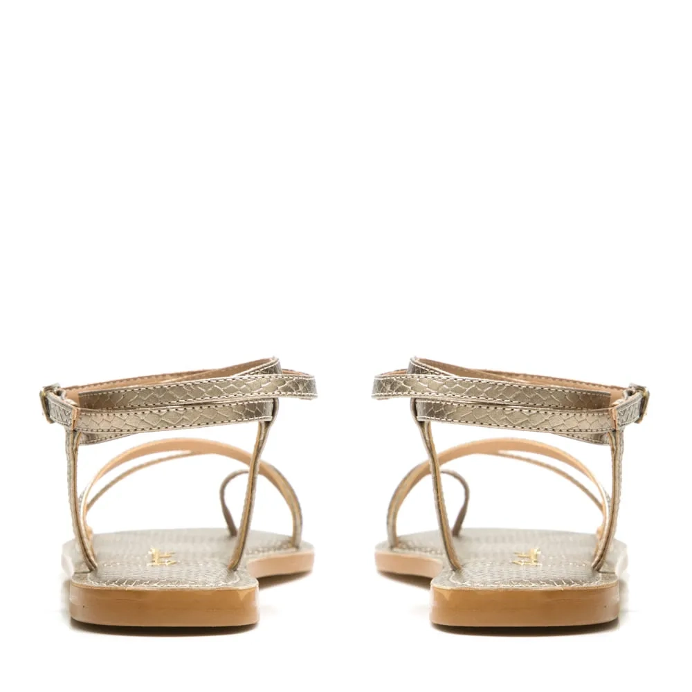 RASTEIRA EMMA GRAFITE