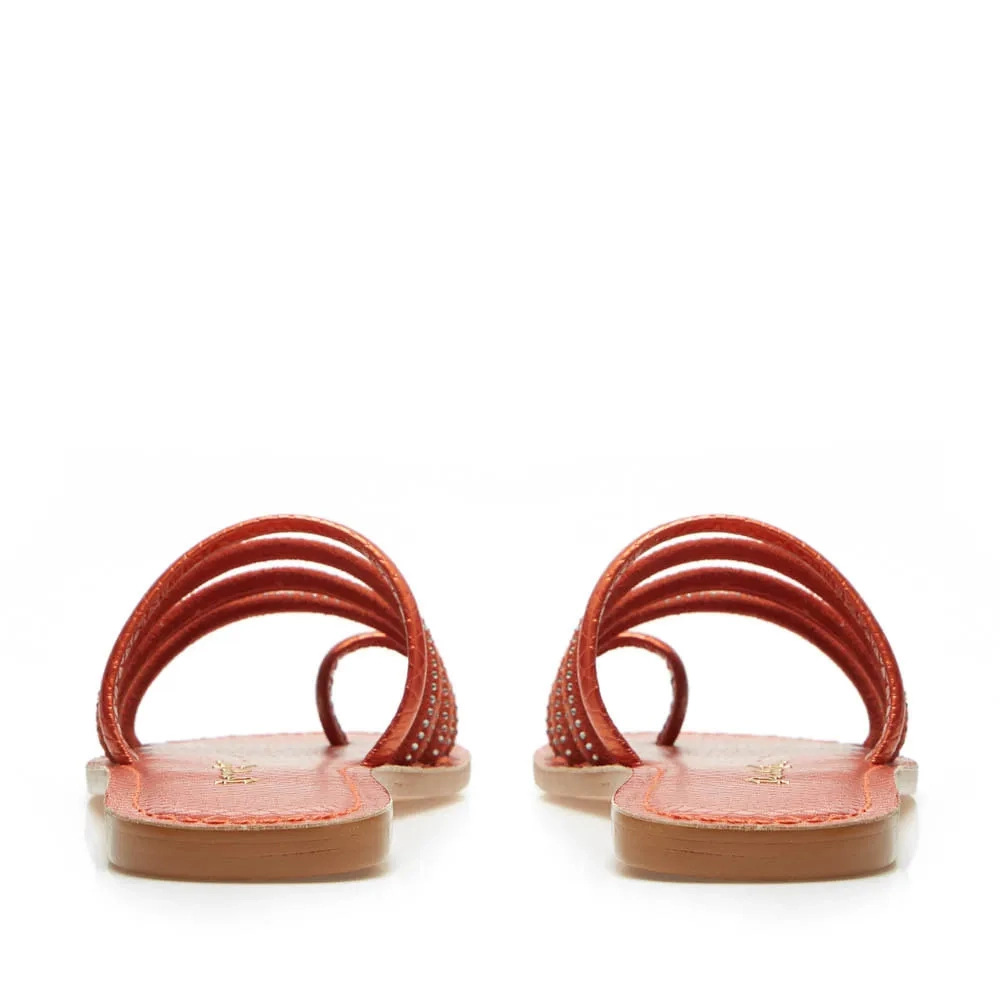 RASTEIRA MAYA TERRACOTA