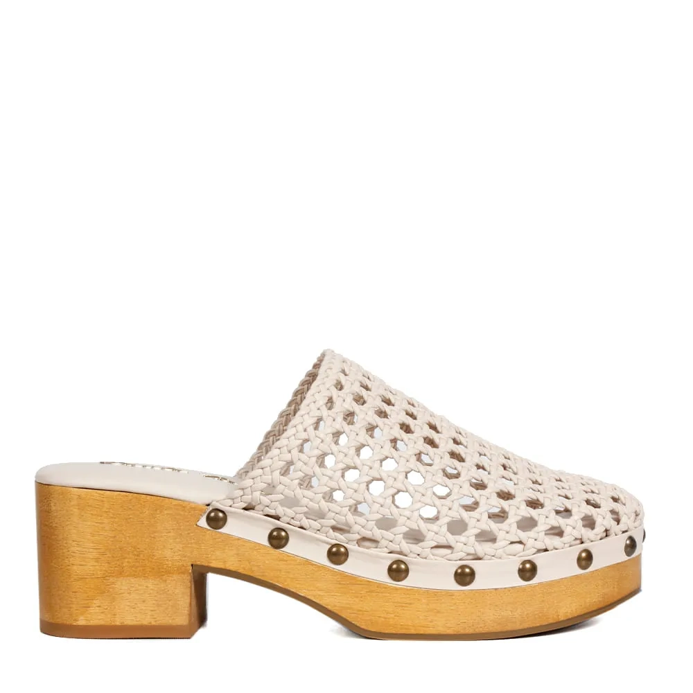 CLOG OLIVIA OSTRA