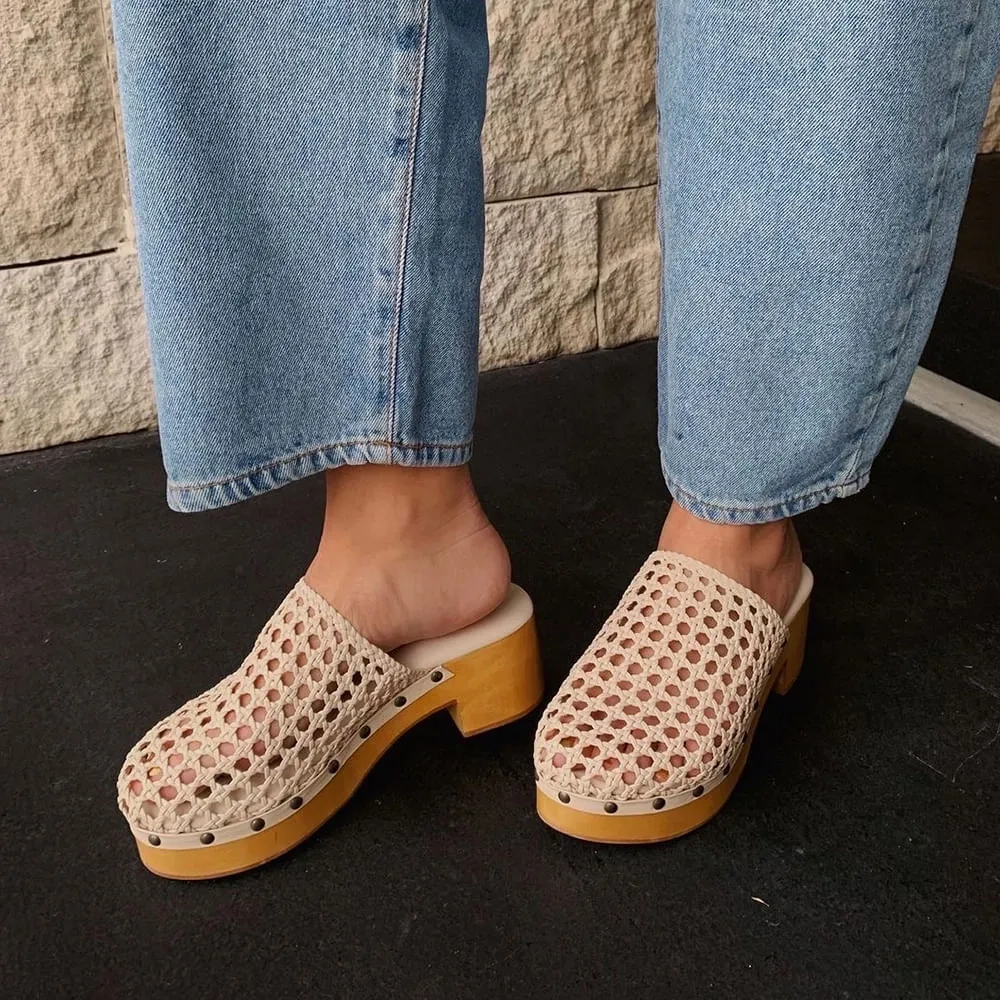 CLOG OLIVIA OSTRA
