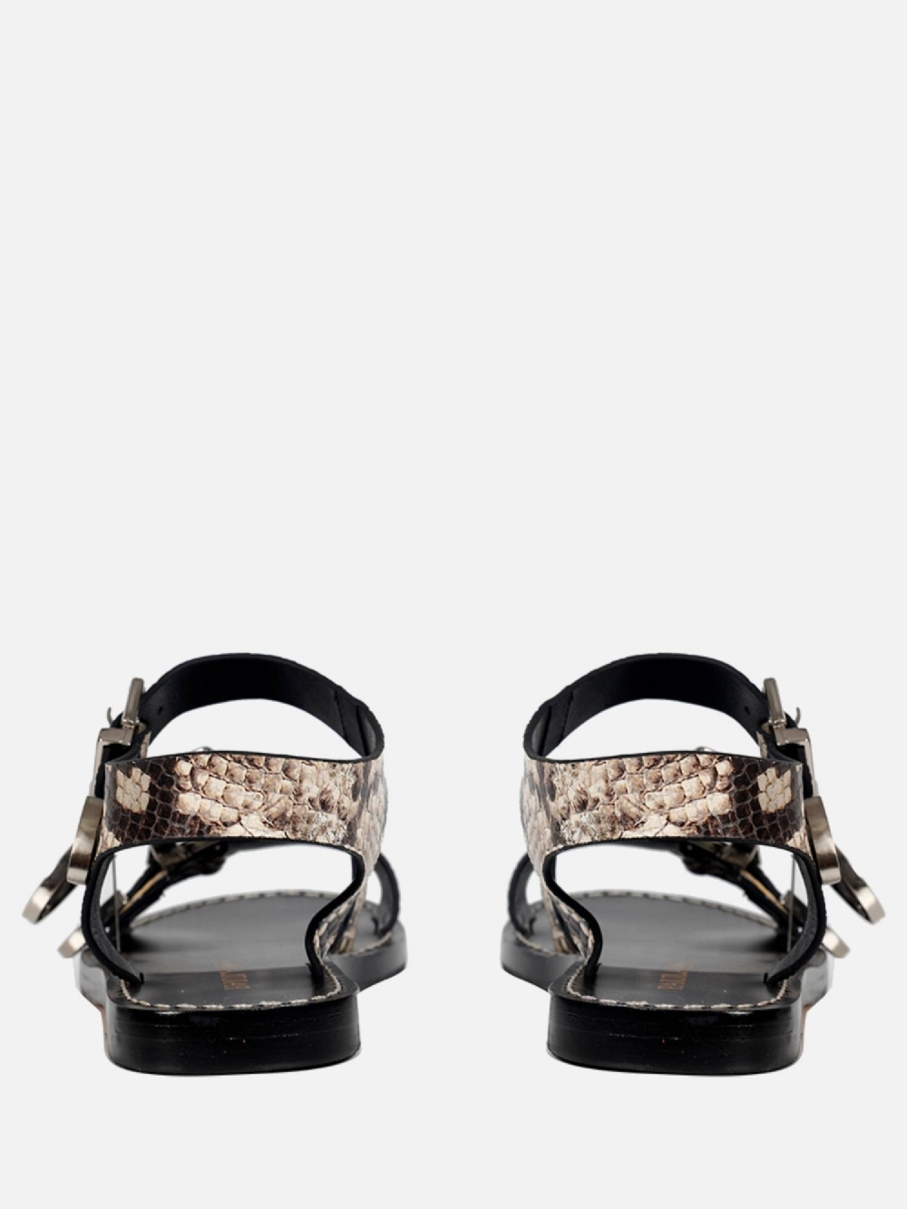 RASTEIRA BETINA SNAKE